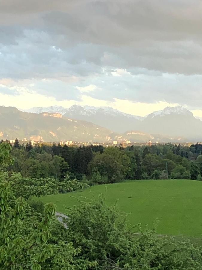 Ferienwohnung Samys Nahe Lindau Am Bodensee ซิกมาร์เซล ภายนอก รูปภาพ
